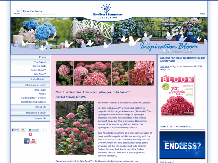 www.endlesssummerblooms.com