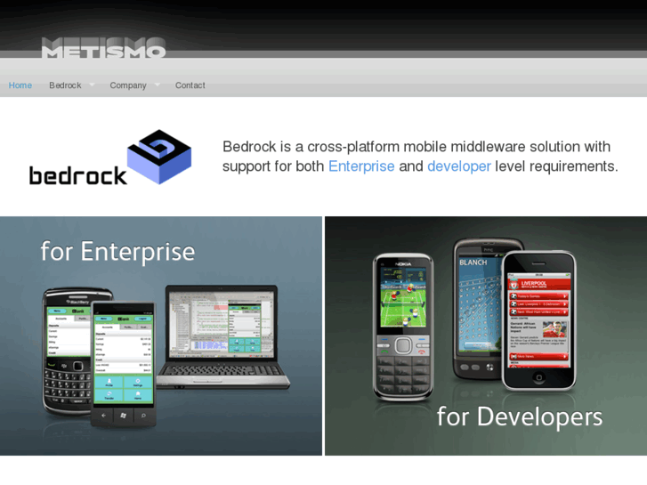 www.metismo.com