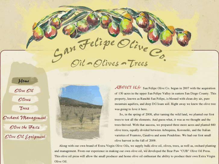 www.sanfelipeoliveco.com