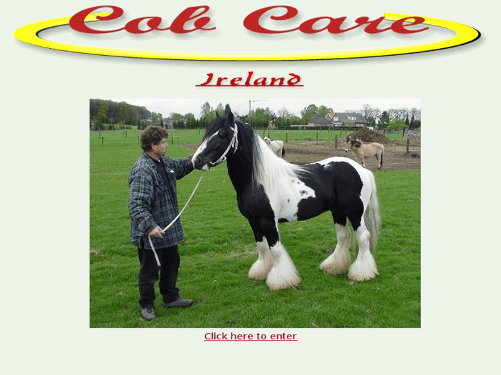 www.cobcare.net