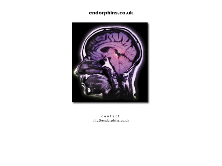 www.endorphins.co.uk