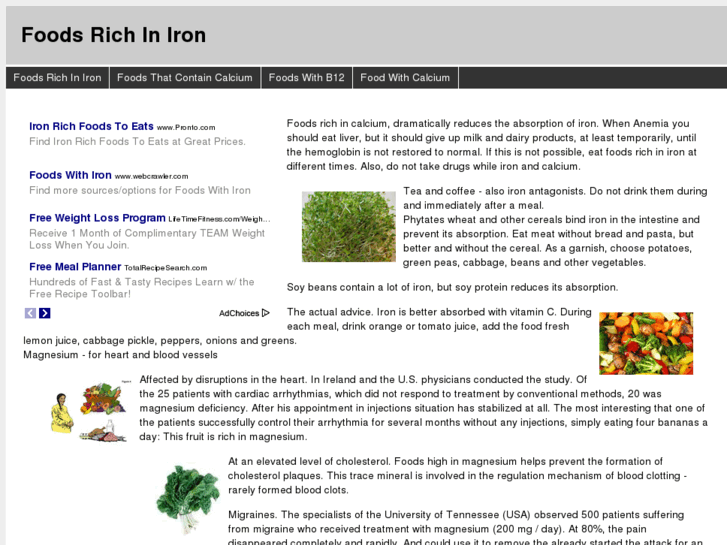 www.foodsrichiniron.info