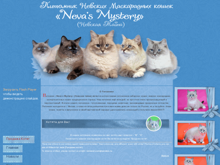 www.nevacat.com