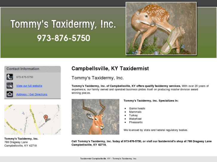 www.tommystaxidermyinc.com