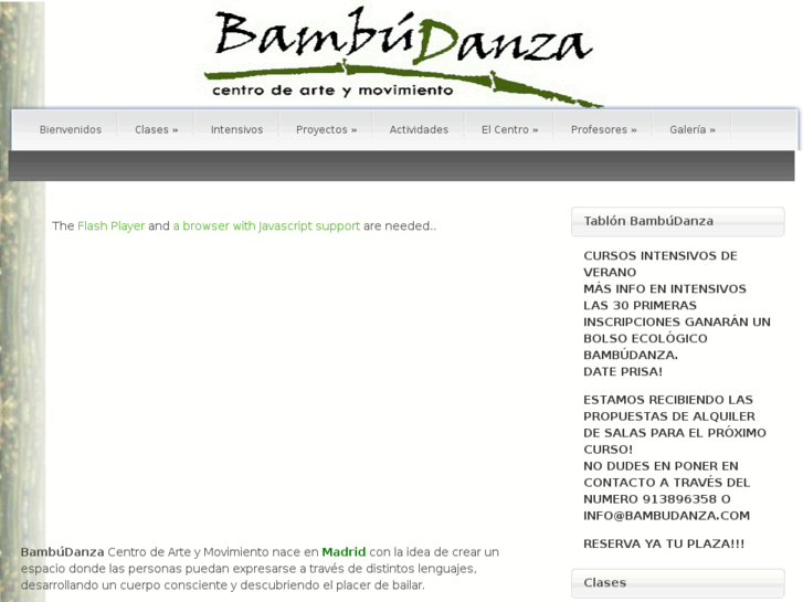 www.bambudanza.com