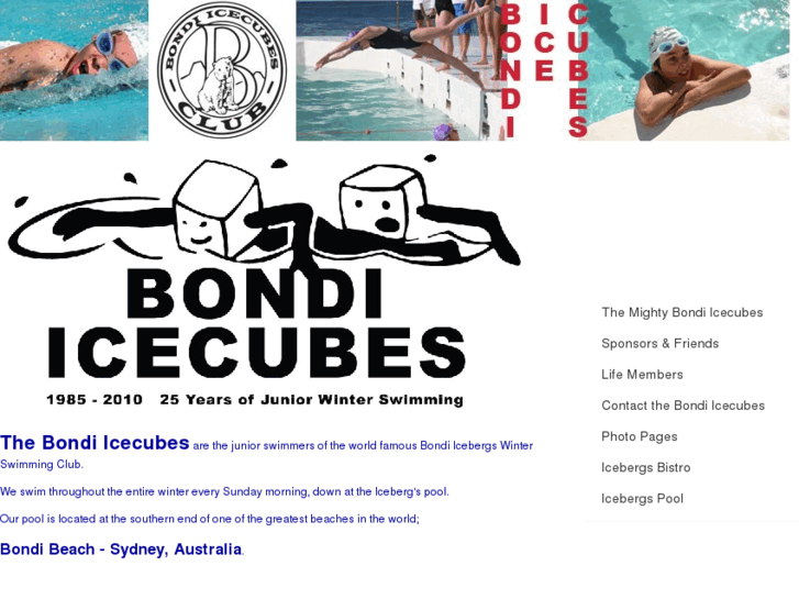 www.bondi-icecubes.com