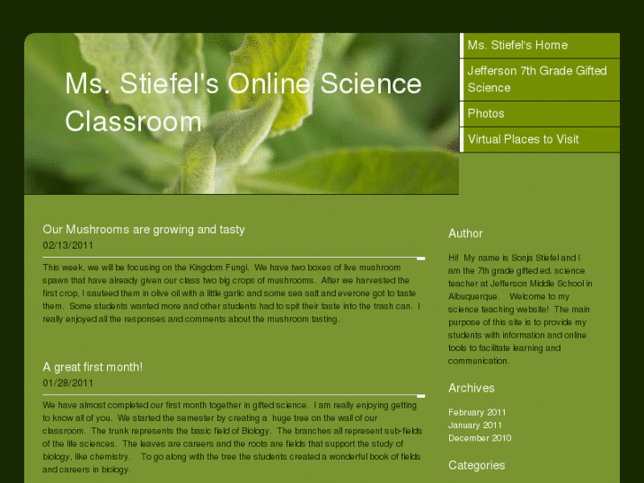 www.stiefellearning.com