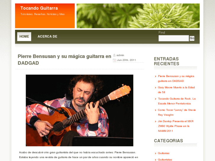 www.tocandoguitarra.net