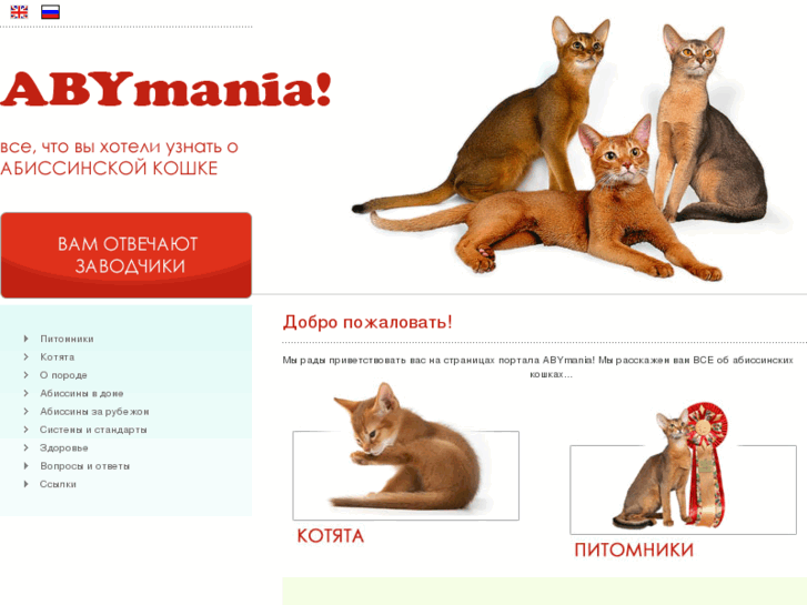 www.aby-mania.com