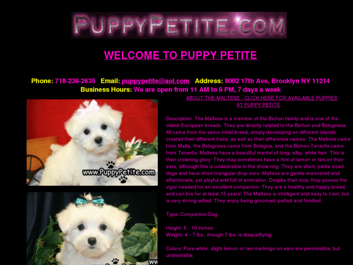 www.puppypetiteshop.com