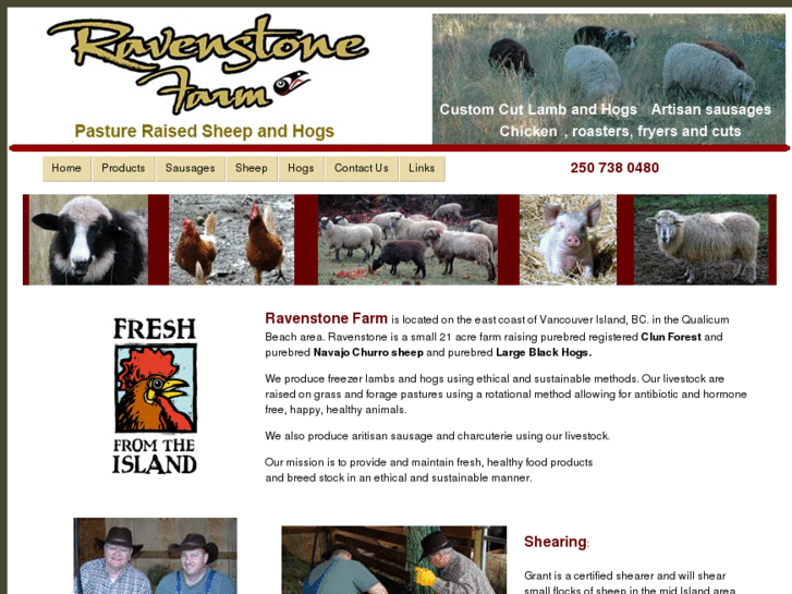 www.ravenstonesheepfarm.com