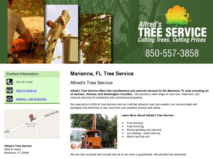 www.treeservicemarianna.com