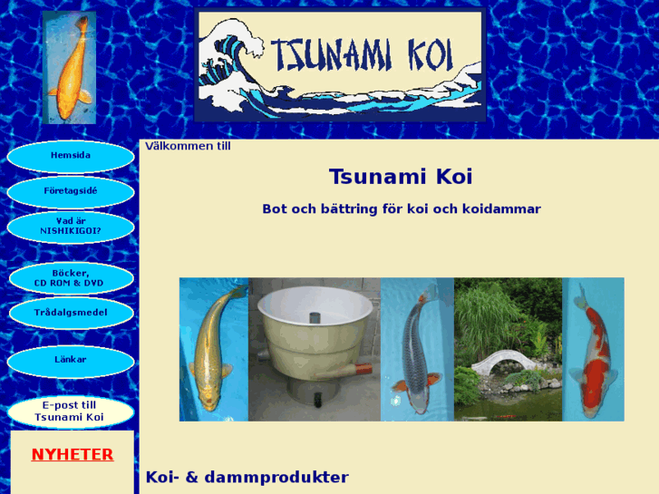 www.tsunamikoi.com