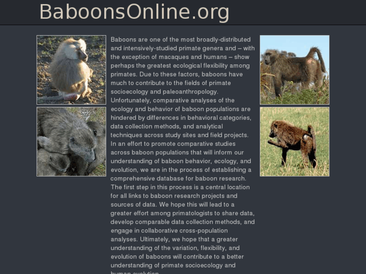 www.baboonsonline.org