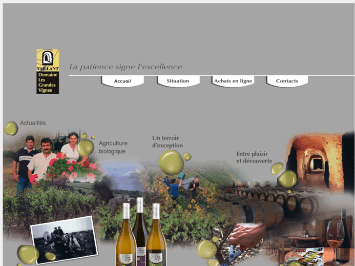 www.domainelesgrandesvignes.com