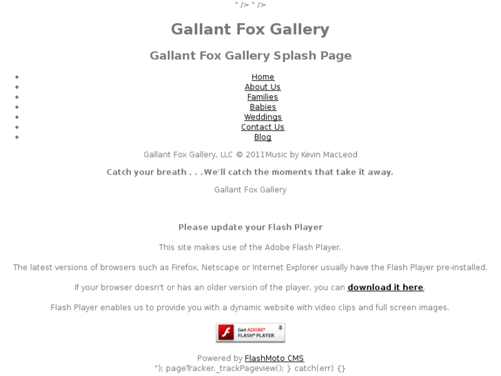 www.gallantfoxgallery.com