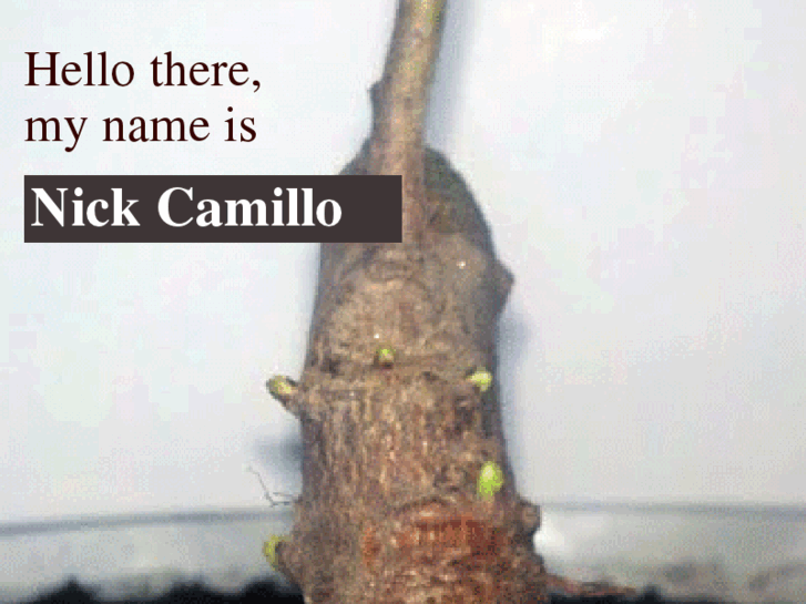 www.nickcamillo.com