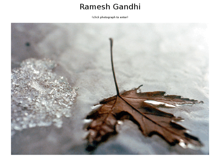 www.rameshgandhi.com