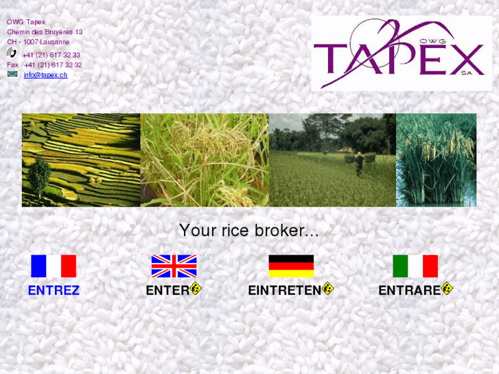 www.tapex.ch