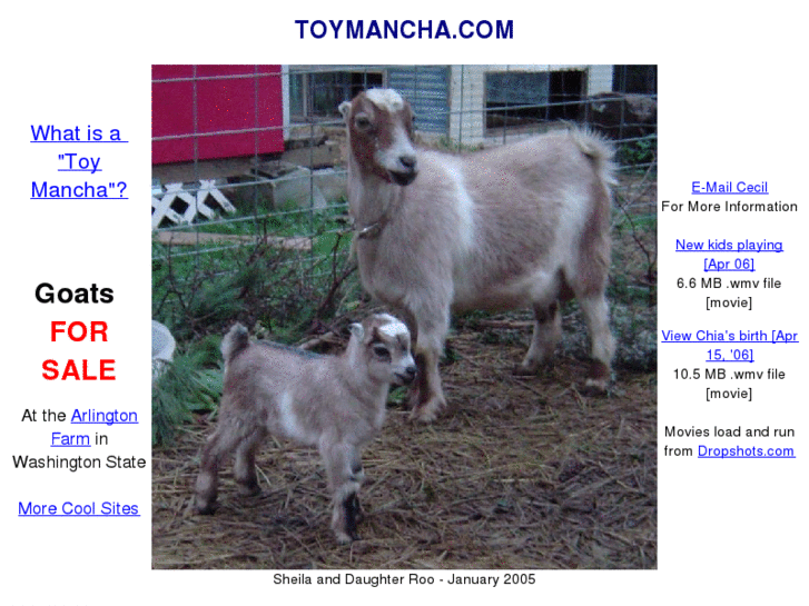 www.toymancha.com