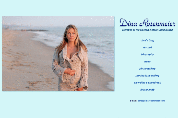 www.dinarosenmeier.com