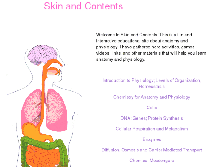 www.skinandcontents.com