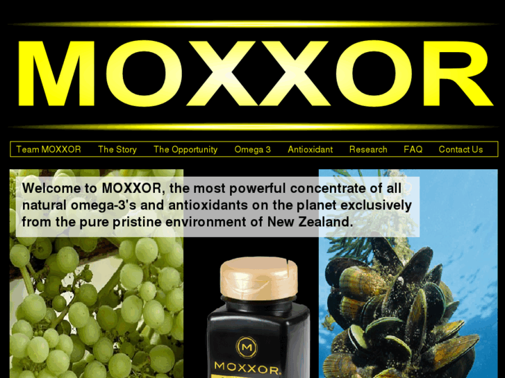 www.mox-xor.com