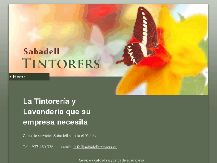 www.sabadelltintorers.es