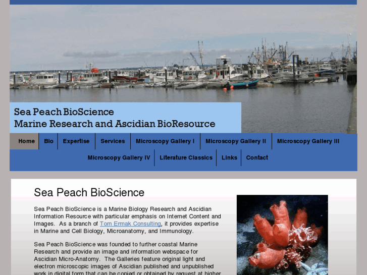 www.seapeachbioscience.com