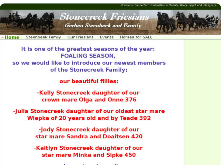 www.stonecreekfriesians.com