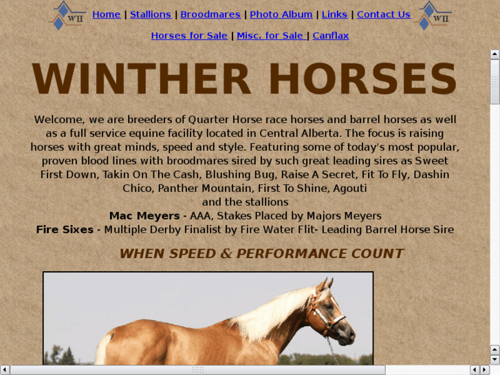 www.wintherhorses.com