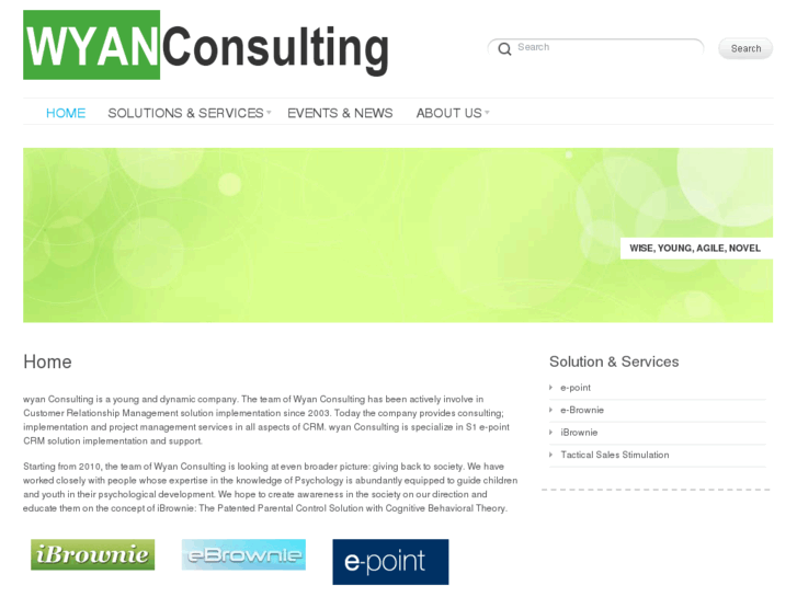 www.wyanconsulting.com