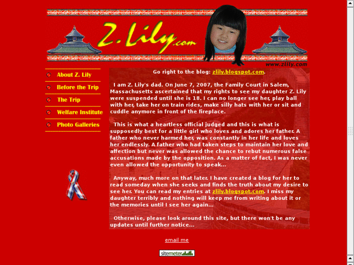 www.zlily.com