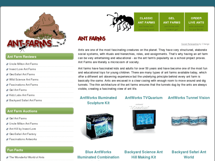 www.ant-farms.com