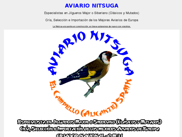 www.aviarionitsuga.com