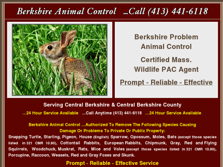 www.berkshireanimalcontrol.com