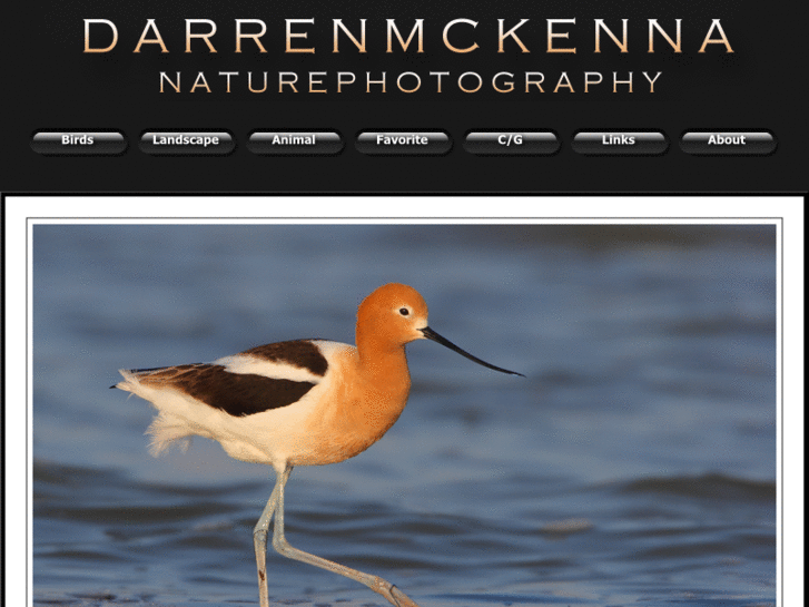 www.darrenmckenna.com