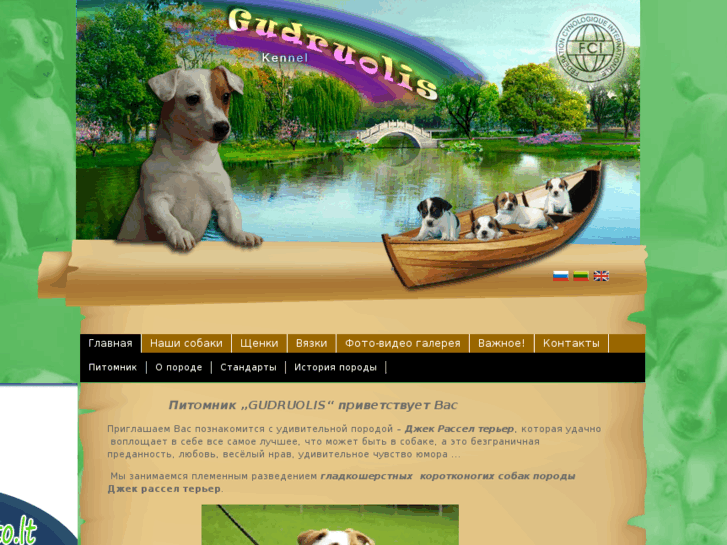 www.elit-jack-russell.com