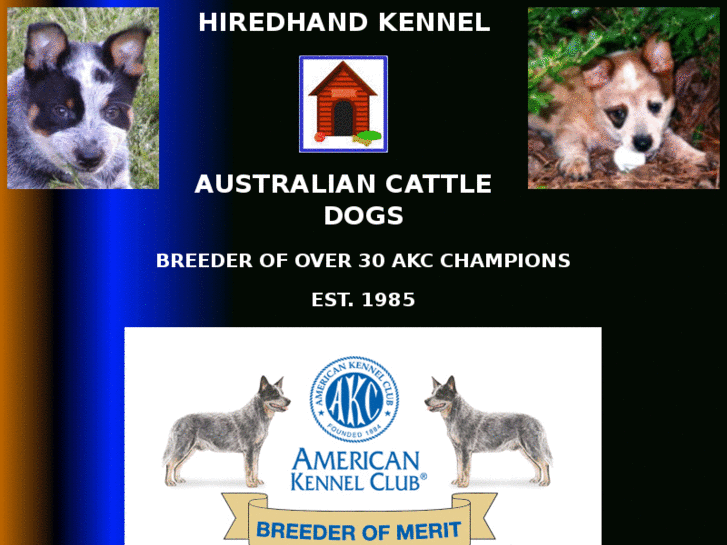 www.hiredhandkennel.com
