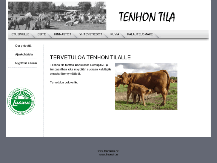 www.tenhontila.info