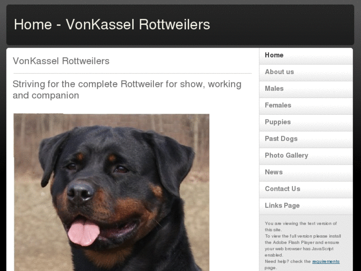 www.vonkasselrottweilers.com