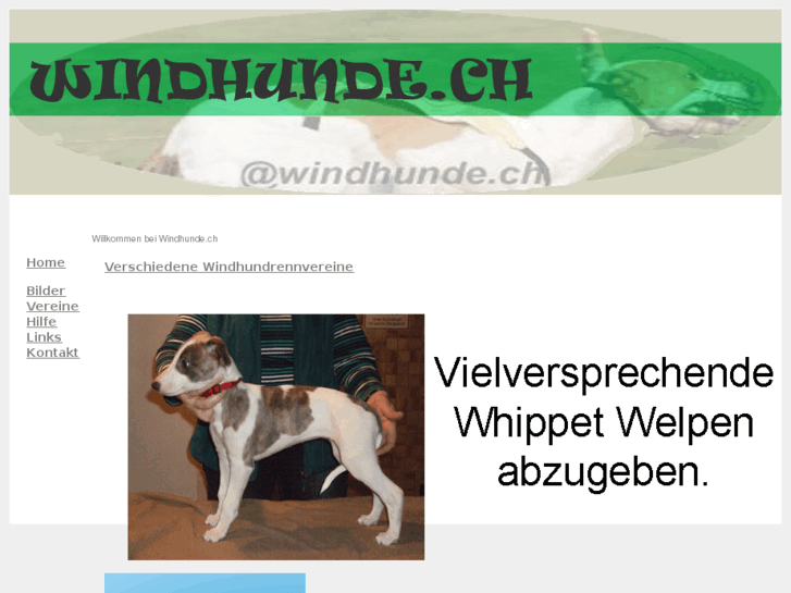 www.windhunde.ch