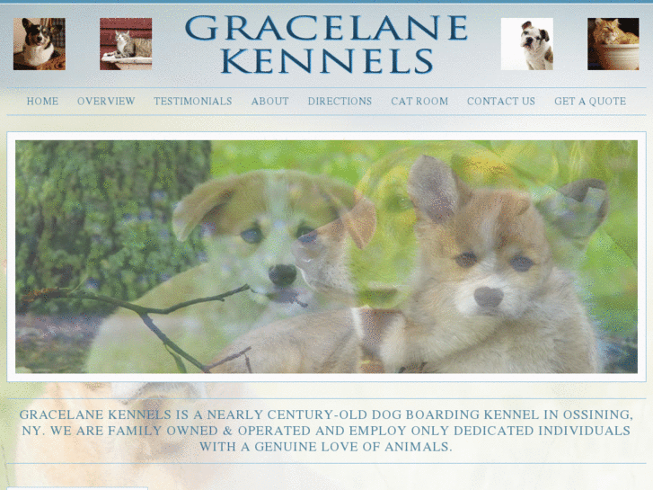 www.bestwestchesterkennels.com