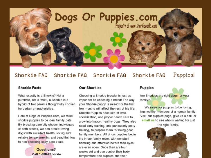 www.dogsorpuppies.com