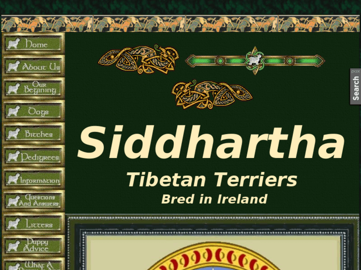 www.siddhartha-tt.com