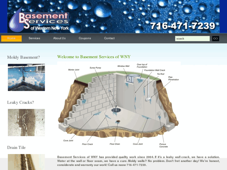 www.basementservicesofwny.com