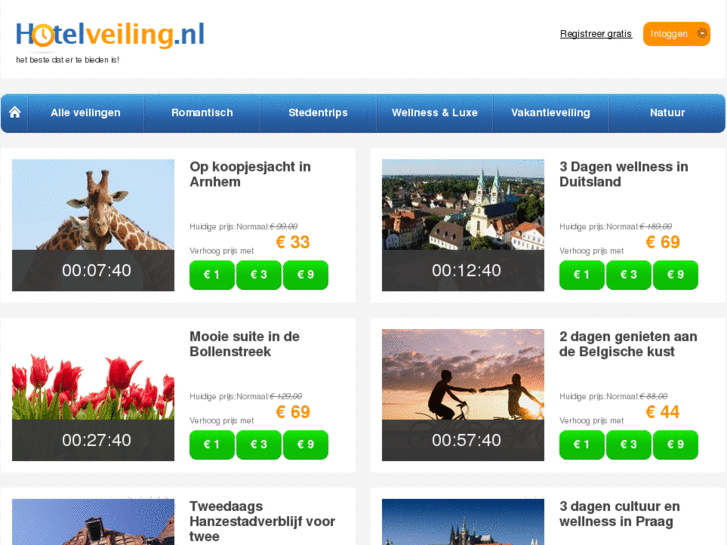 www.hotelveiling.nl