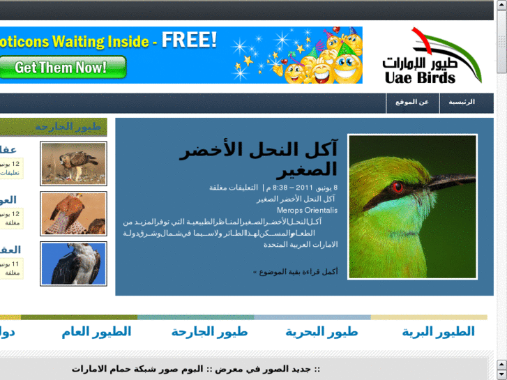 www.uaebirds.net