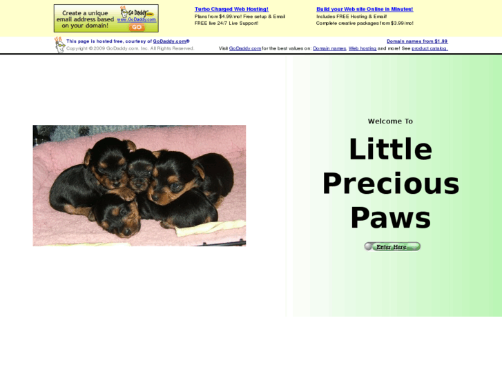 www.lilpreciouspaws.com