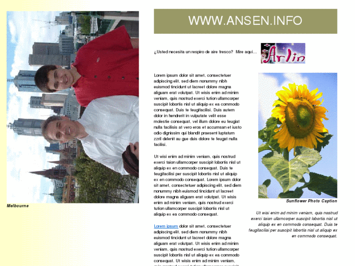 www.ansen.info